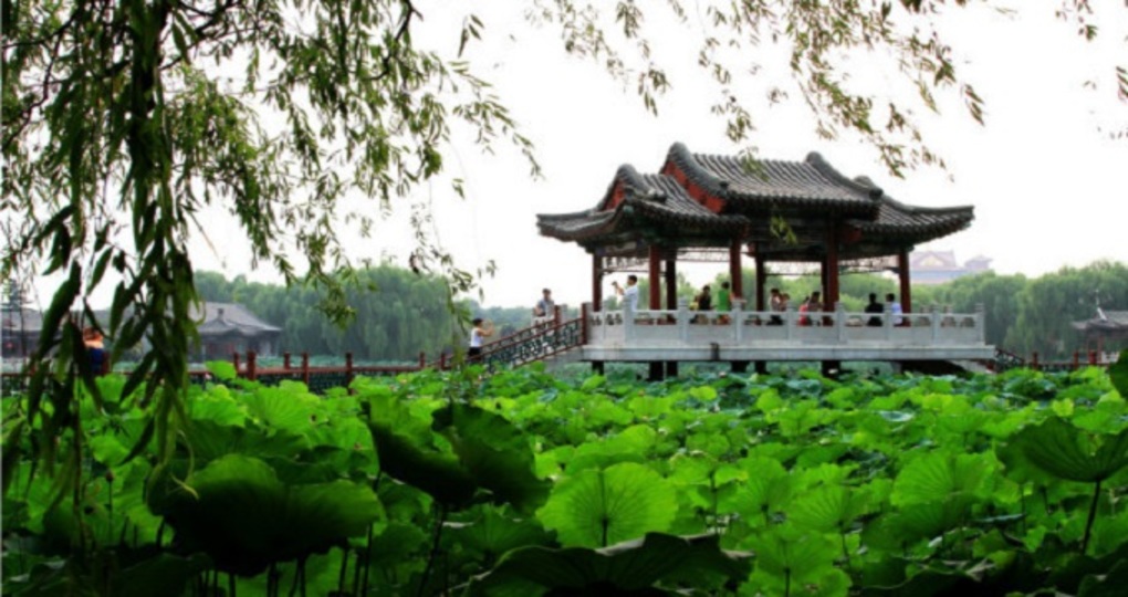 香河天气预报40周