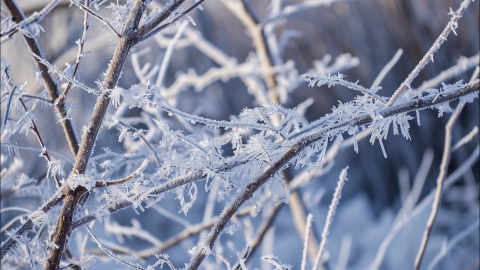 山东未来三天天气预报 小雪+持续降温