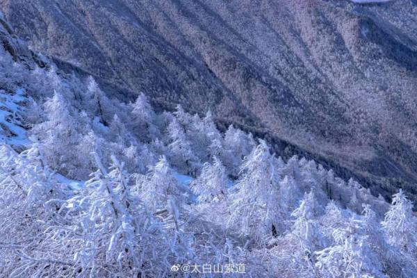 陕西气象发布重要天气报告！