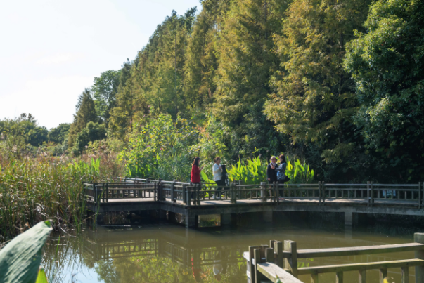 吴淞炮台湾湿地森林公园