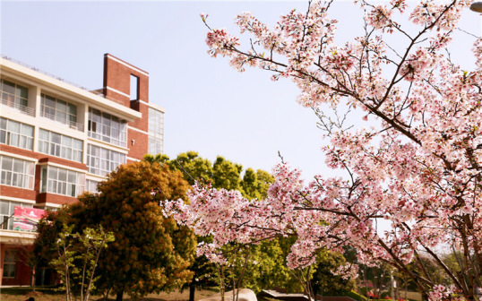 武汉城市学院校园美景