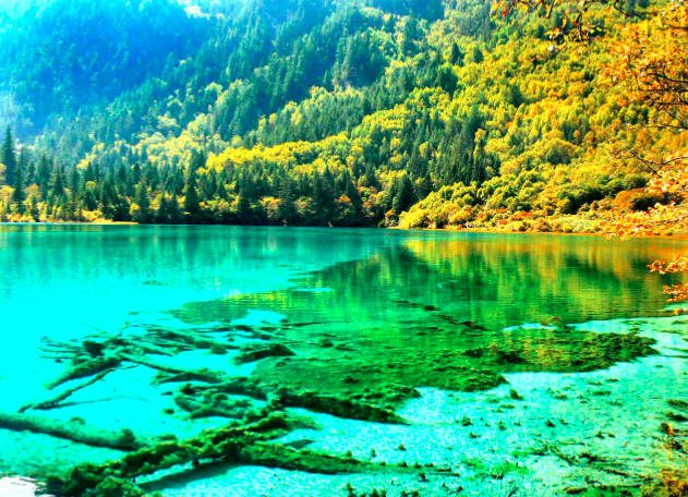 九寨沟门票多少钱，旺季169元/人，淡季80元/人（优惠政策）