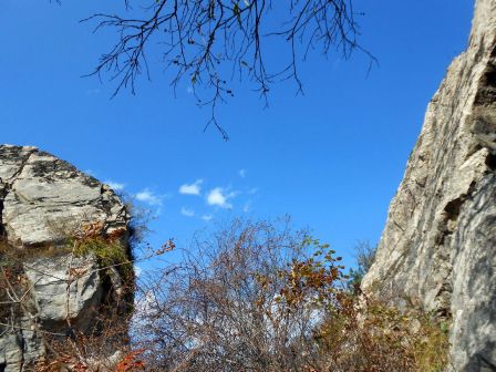 翠华山绚丽秋景