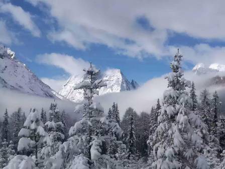 四姑娘山冬季雪景