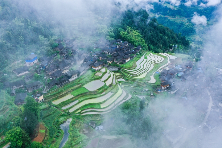 仙境怎雷。