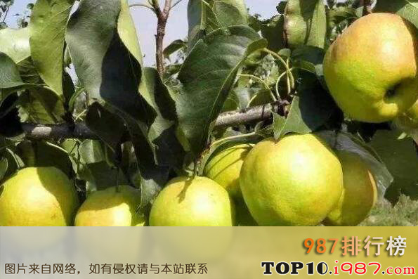 十大山西最有名土特产之隰县玉露香梨