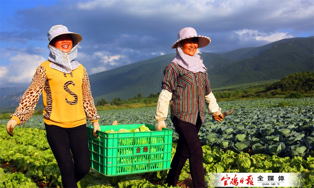 宝鸡经济总量_陕西各市2023年GDP排名:榆林增量超西安、七市负增长