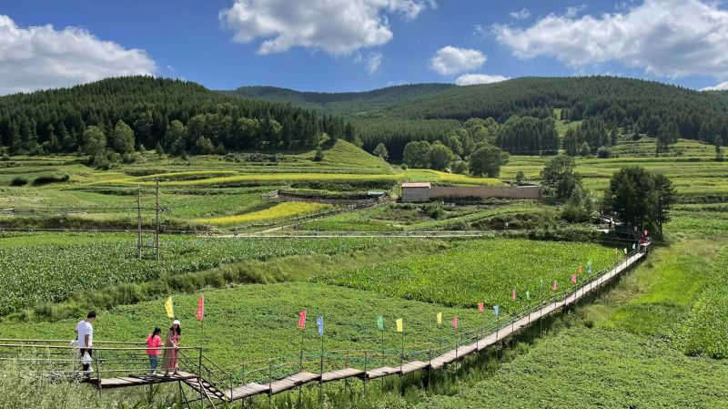 图为浑源县东葫芦头村。