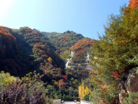 翠华山绚丽秋景