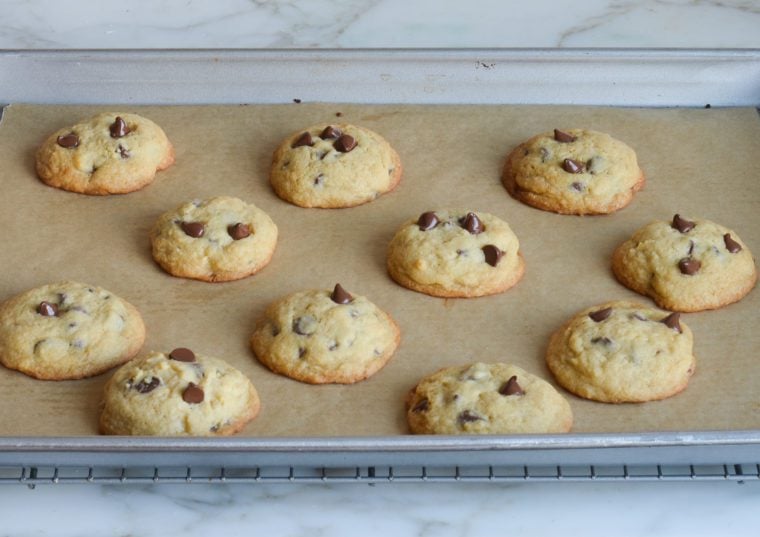 chocolate chip cookies fresh out of the oven