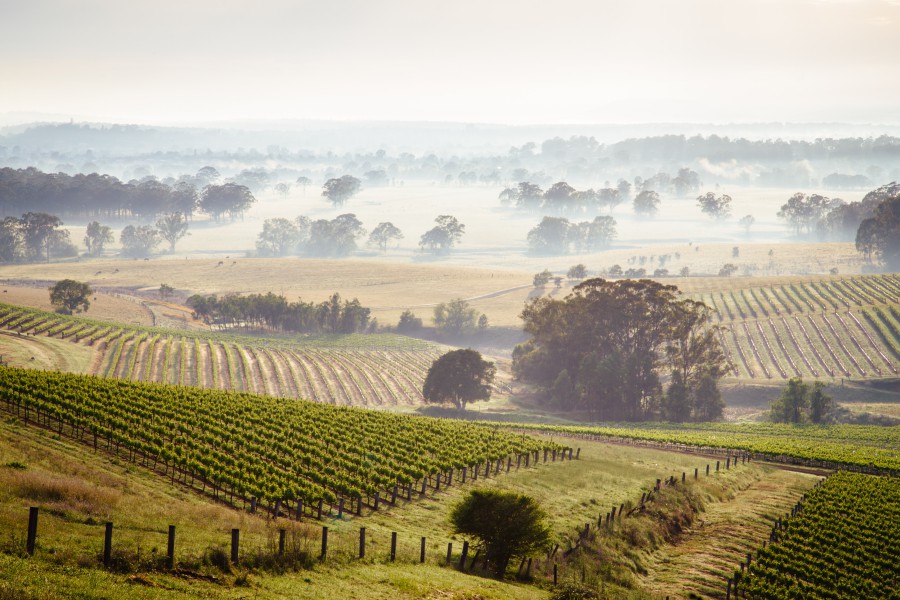 悉尼必去 hunter valley