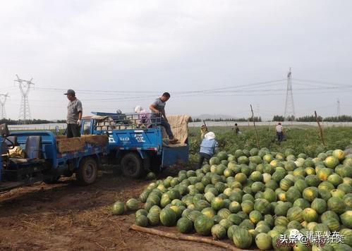 东北特产排行榜前十名（东北最有名的特产介绍）