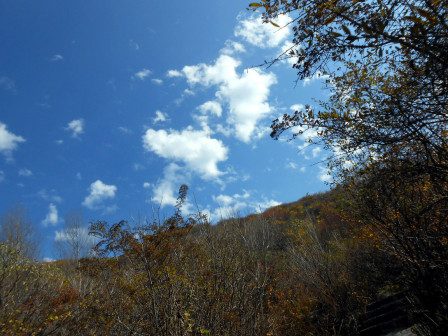 翠华山绚丽秋景