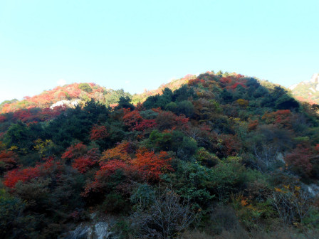 翠华山绚丽秋景