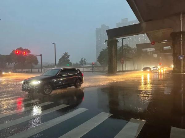 暴雨来袭！上海“两黄一蓝”预警高挂，青浦发布暴雨橙色预警……明日高温依旧→