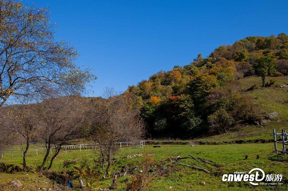 宝鸡市经典游玩线路：去关山牧场感受游牧生活