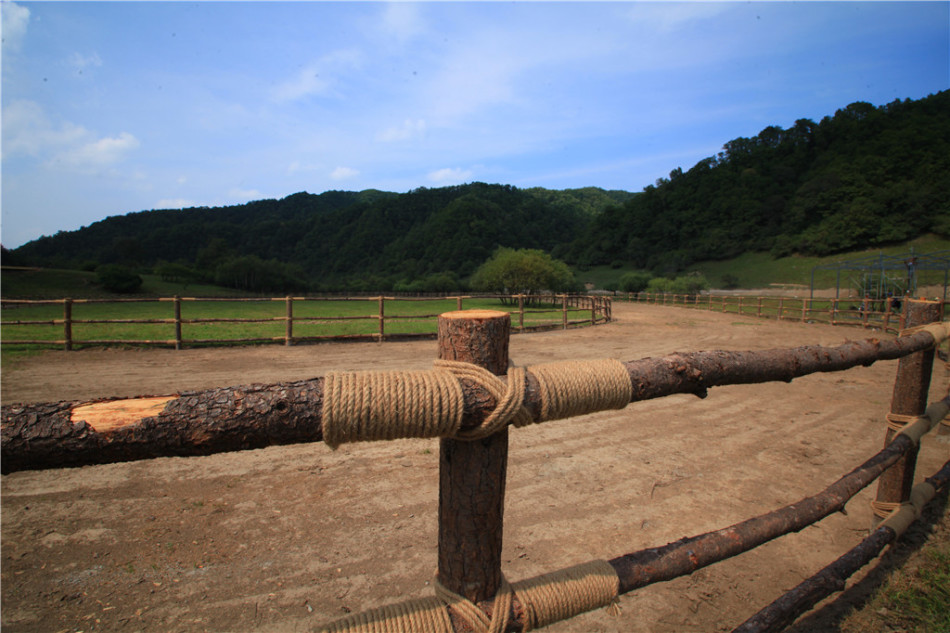 宝鸡大水川：惬意的高山草甸