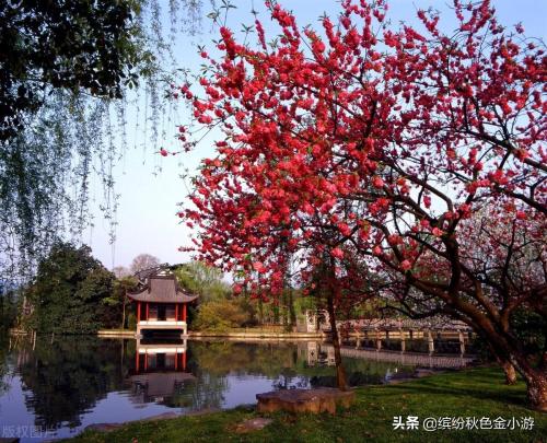 西湖在哪个省哪个市区(西湖十景是哪十景)插图2