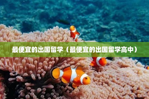 最便宜的出国留学（最便宜的出国留学高中）  第1张