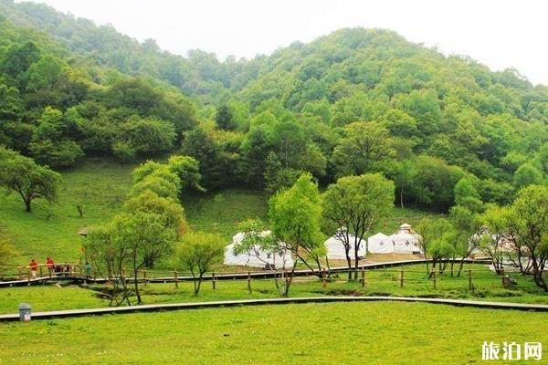 关山草原到大水川最佳路线