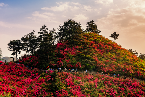 云雾山