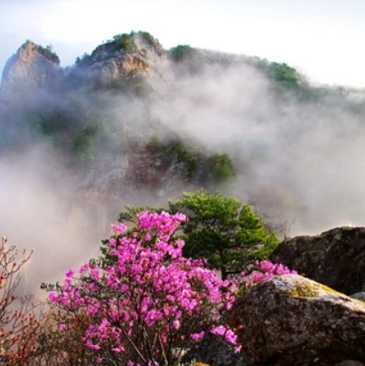 仙景台