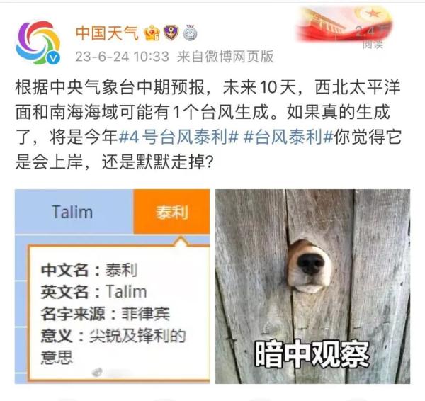 持续40天!今年最热的日子即将到来?