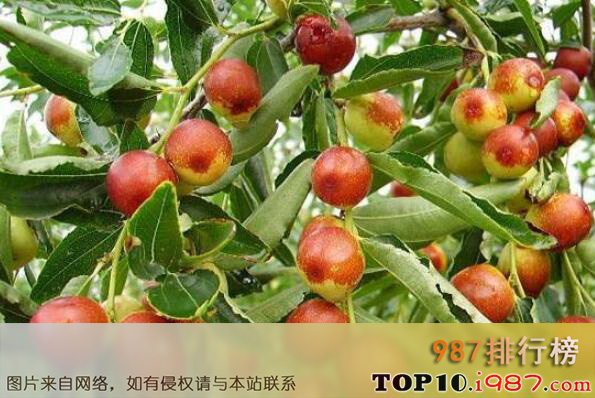 十大山西最有名土特产之交城骏枣