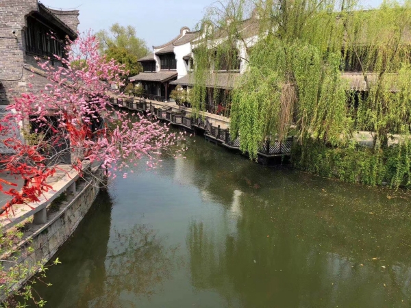 台儿庄租房一室一厅(台儿庄古城内住宿推荐)