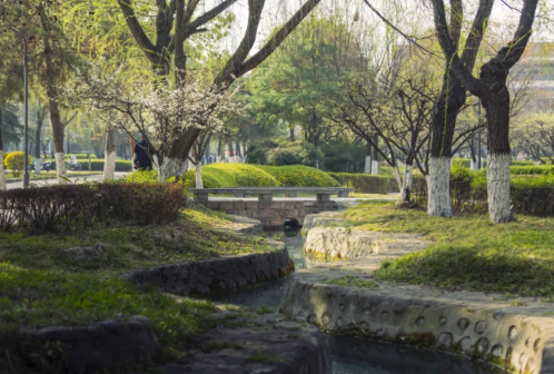 校园风景