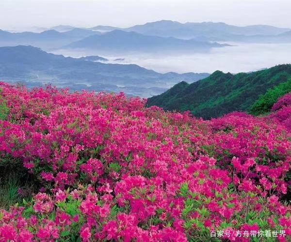 一条让人久久回味的五一秦岭自驾游线路，值得推荐-有驾