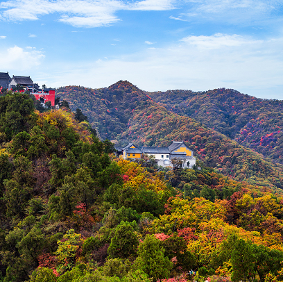 照金香山