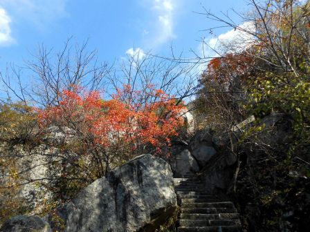 翠华山绚丽秋景