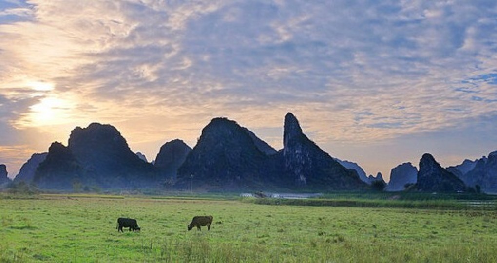 英德天气预报40周