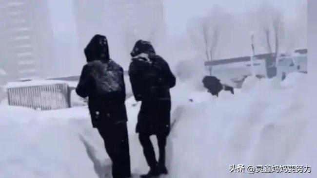 山东威海罕见暴雪，积雪厚度惊呆网友