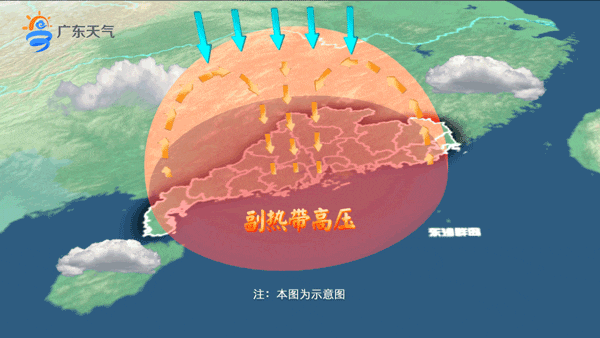 持续40天!今年最热的日子即将到来?