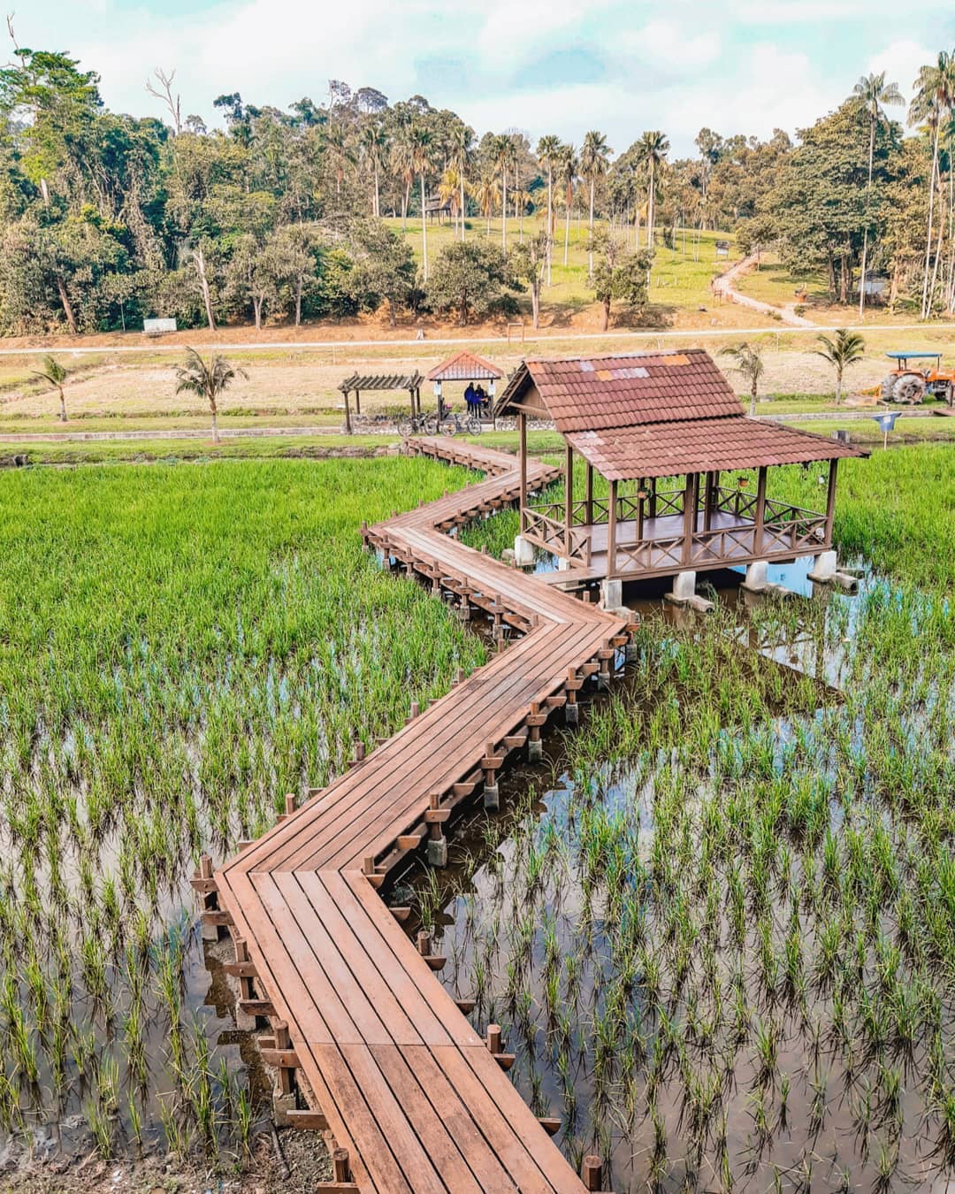 雪兰莪一日游 taman botani negara