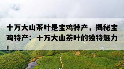 十万大山茶叶是宝鸡特产，揭秘宝鸡特产：十万大山茶叶的独特魅力！