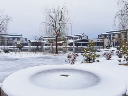 泰山科技学院雪景