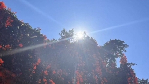 10月2日北京福建天气 北京天气晴朗福建有台风影响