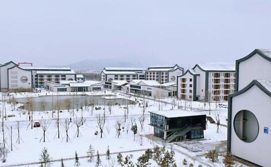 泰山科技学院雪景