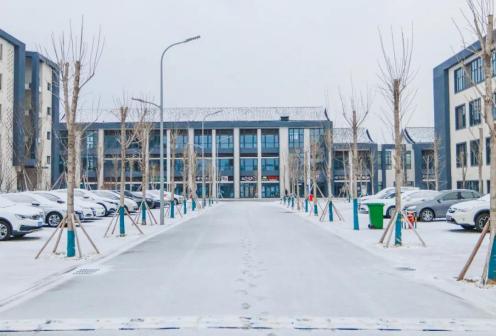 泰山科技学院雪景