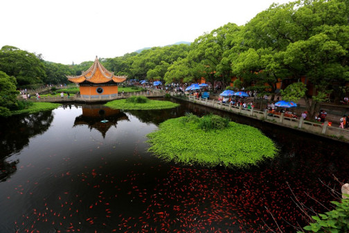 普济寺