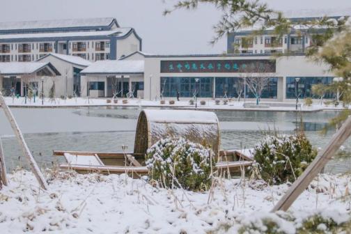 泰山科技学院雪景