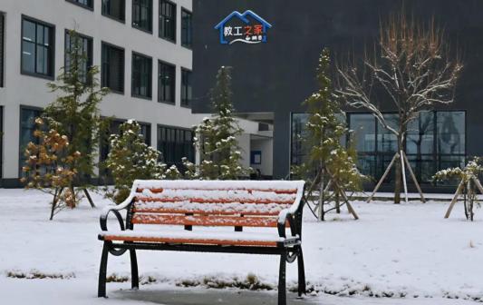 泰山科技学院雪景