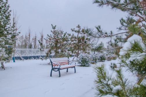 泰山科技学院雪景