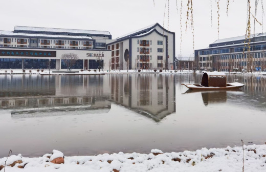 泰山科技学院雪景