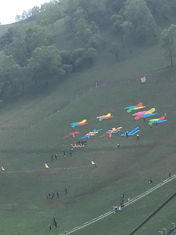 "路况很好，到关山牧场售票处，成人门票65，孩子32，车子5元，服务人员服务很好，热情，进入景区..._关山草原"的评论图片