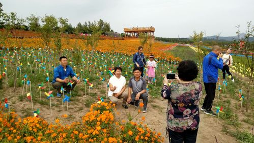 9月10日西安及周边景区教师节有哪些活动